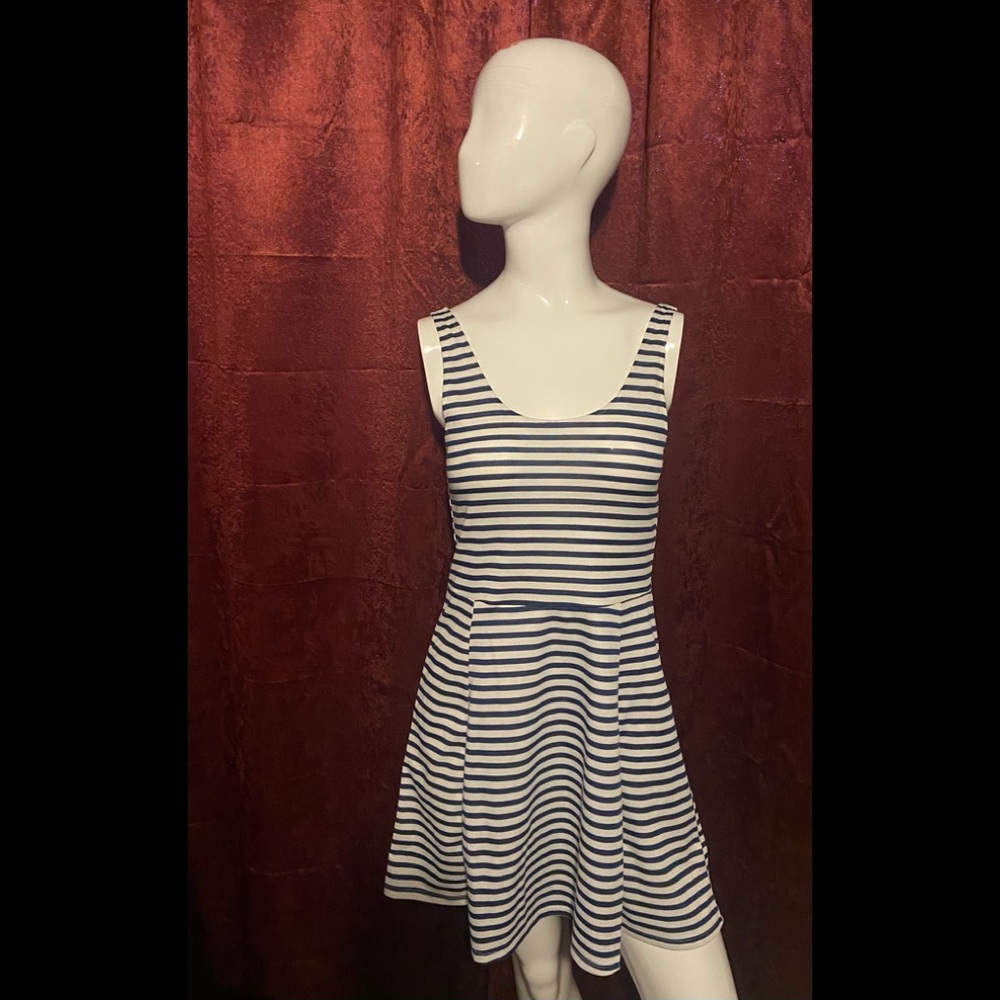 Stripe Skater Dress